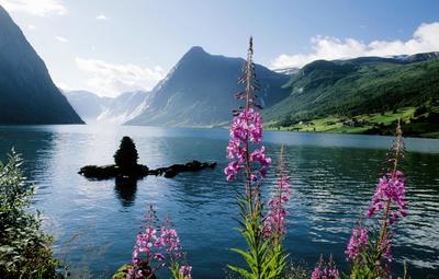 平谷满三年旅行社转让国内旅游业务所需材料全解析